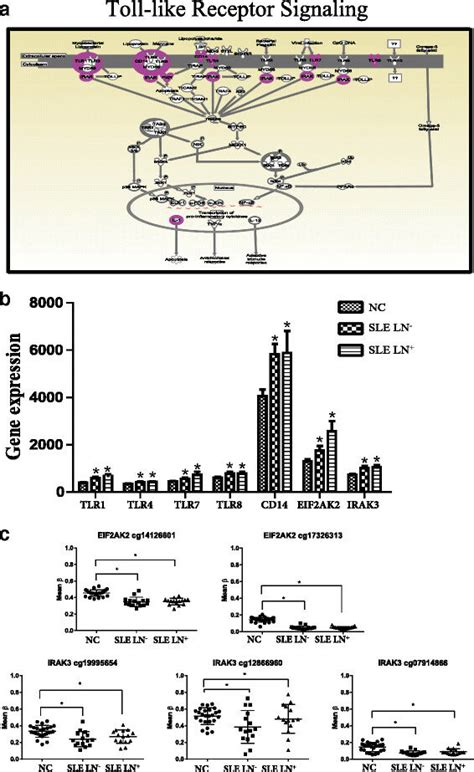 Upregulated Genes In Pbmc Of Sle Were Significantly Enriched In The