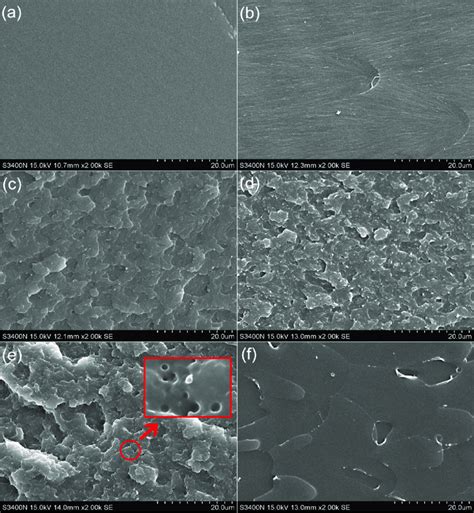 SEM Images Of Frozen Fracture Morphology A Neat Epoxy B