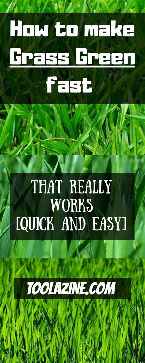 How To Make Lush Green Grass Fast 6 Actionable Steps Green Lawn