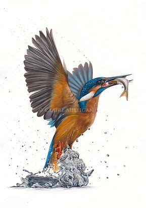 A Painting Of A Kingfisher Catching A Fish In The Water With It S Wings