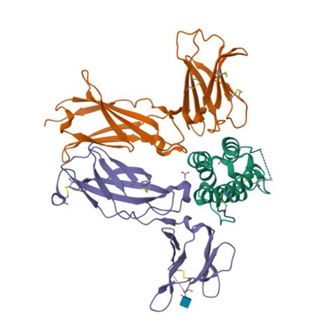 RCSB PDB 4NN5 Cytokine Receptor Complex Crystal Form 1A