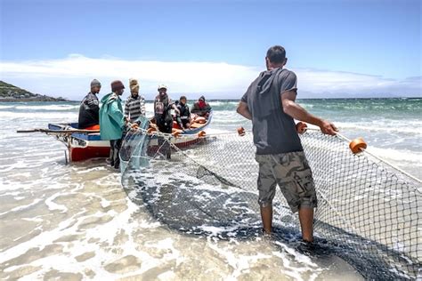 Fao More Investment In Seafood Production Needed To Drive Blue