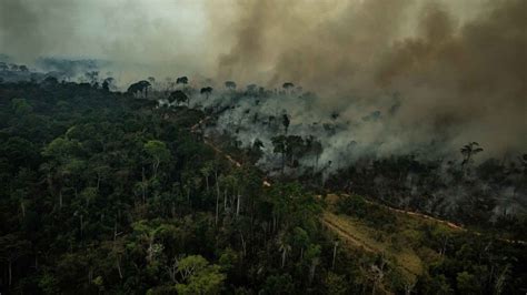 Amazonas Los Incendios Arrasan Casi Un Millón De Hectáreas En Bolivia