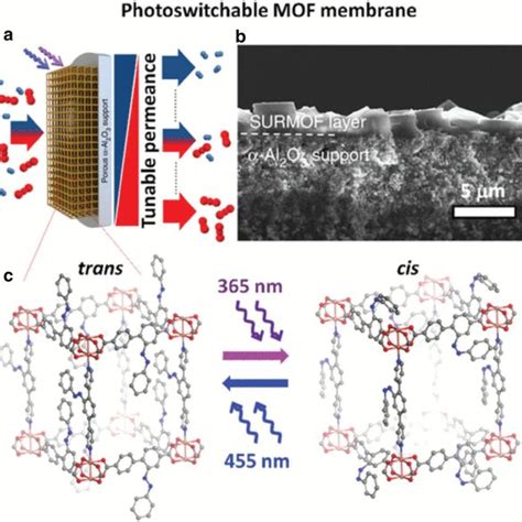 A Schematic Illustration Of Tunable Remote Controllable Molecular