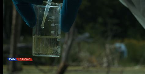 Regidores Tienen Dudas Sobre La Potabilidad Del Agua En Crucitas