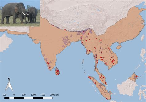 Where Do Elephants Live Map