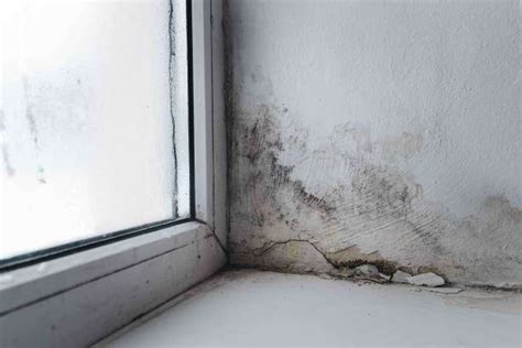 How Do I Prevent Mould In My Basement From Flooding