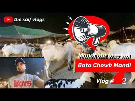 Mandi K Rate Bata Chowk Mandi Rawalpindi Vlog 02 Cow Mandi