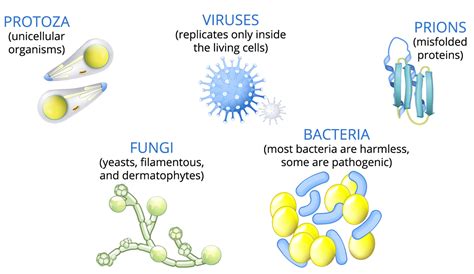 Introduction — Lesson Science State Board Class 9