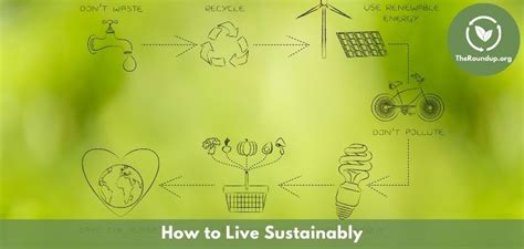 16 Reasons Why Sustainable Living Matters Theroundup