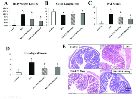 Eps Attenuates Dss Induced Acute Murine Colitis A Body Weights