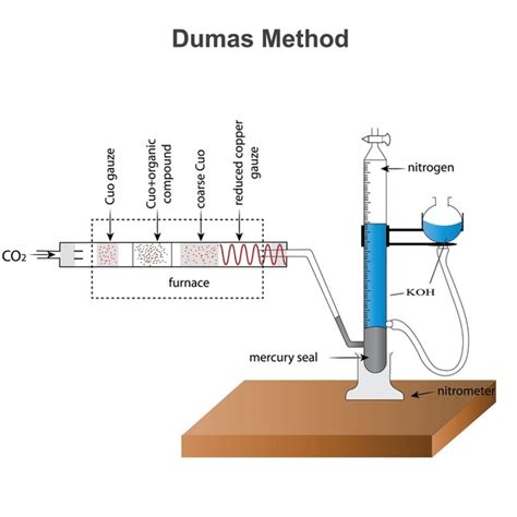 2 Dumas Reaction Stock Vectors And Vector Art Shutterstock