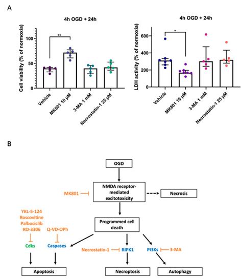 IJMS Free Full Text Re Evaluating The Relevance Of The Oxygen