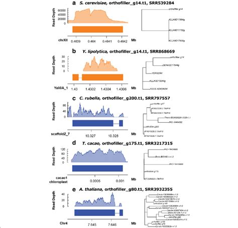 Five Representative Examples Of Rnaseq Coverage On Genes Predicted