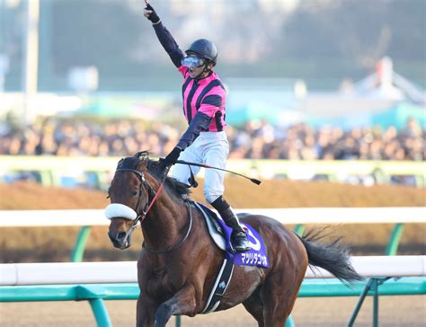 【2007年有馬記念・マツリダゴッホ】3連単80万円超大波乱 「戦国有馬」統一 ライブドアニュース