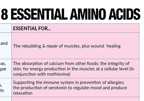 Diagram Diagram Of Essential Amino Acids Full Version Hd Quality