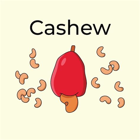 Premium Vector Cashew Fruit Illustration Vector