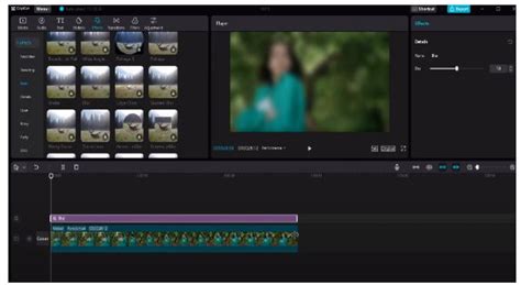 Explained How To Blur Video In Capcut