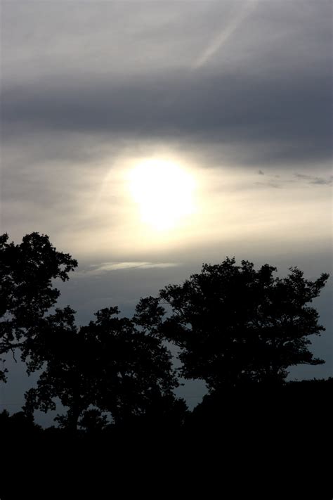 Free Images Landscape Tree Horizon Branch Silhouette Light