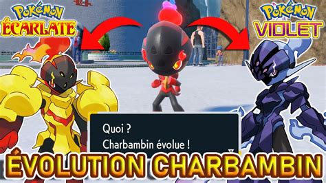 Volution De Charbambin En Malvalame Et Carmadura Pok Mon Violet Et