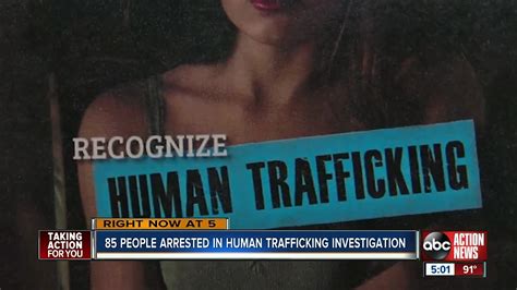 Hillsborough Co Human Trafficking Sting Leads To 85 Arrests