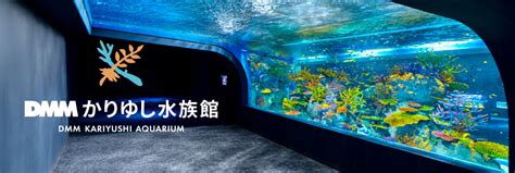 Dmmかりゆし水族館｜セブン イレブン チケット情報・購入・予約 セブンチケット