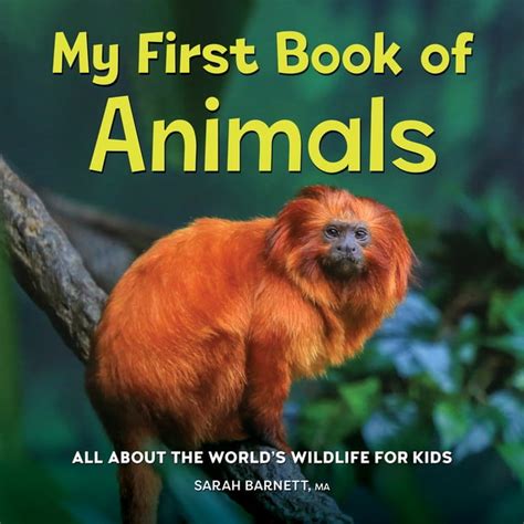 My First Book Of My First Book Of Animals All About The Worlds