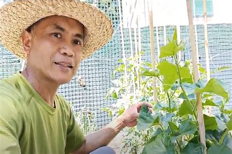 Libangang Pagtatanim Ng Pinoy Vegetable Farmer Sa Italya Kumikita