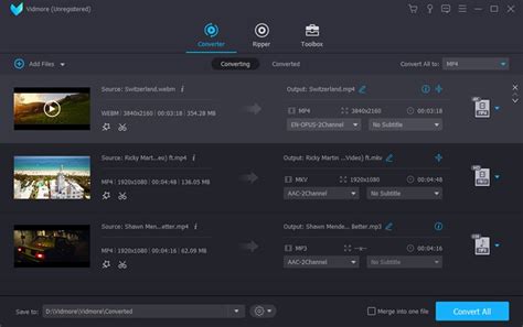 Vidmore Video Converter - Download