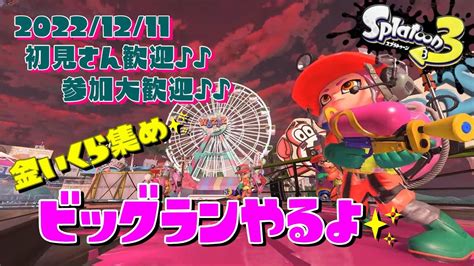 スプラトゥーン3 参加型 ライブ／ 初見さん大歓迎💕更新なるか？金イクラ集めのビッグラン`･ω･´🎡🐟でんせつも上げたい／女性実況 Youtube