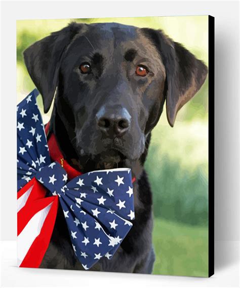 Aesthetic Black Lab With Flag Paint By Numbers Paint By Numbers Pro