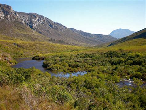 Kogelberg Nature Reserve Whalecoast