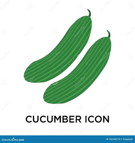 Cucumber Icon Vector Sign And Symbol Isolated On White Background