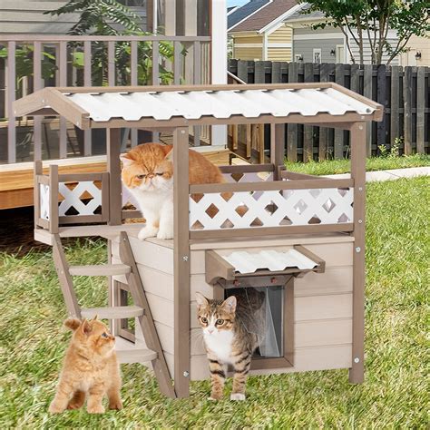 Tucker Murphy Pet™ Deeandra Outdoor Solid Wood Cat House with Escape ...