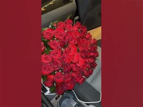 Роза 🌹🌹🌹💐 - YouTube