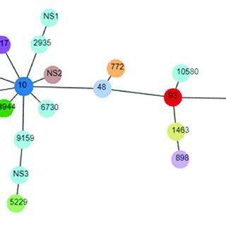 Minimal Spanning Tree Of Mcr Positive E Coli Each Circle