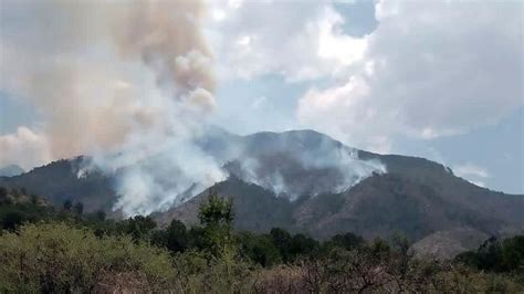 Apagan Incendio Forestal En Serranía De Coahuila Y Nl Periódico Am