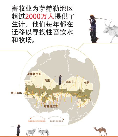 当气候变化已成现实：助力非洲萨赫勒地区游牧民构建具有气候韧性的未来