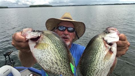 Crappie Bonanza And Jumbo Magnum Perch YouTube