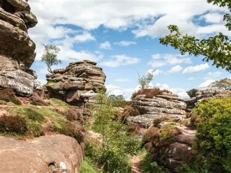 Walk Brimham Rocks and Moor: Ultimate guide - She walks in England