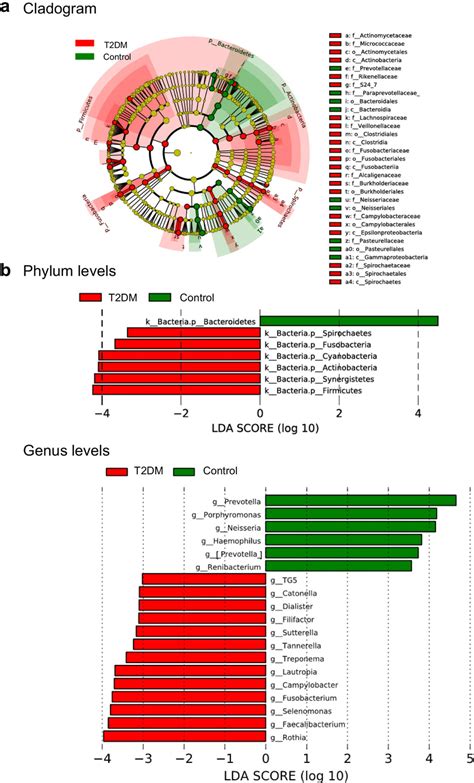 Differentially Abundant Bacterial Genera Between T2dm And Control