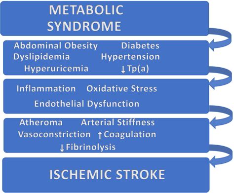 Stroke In The Patient With Diabetes Part Epidemiology Etiology