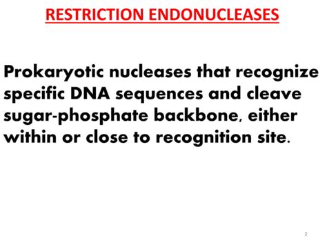 L9 Restriction Endonucleases Ppt