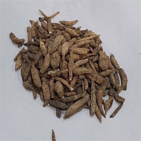 Indian Atees Brown Ativisha Atis Aconitum Heterophyllum Packaging Type