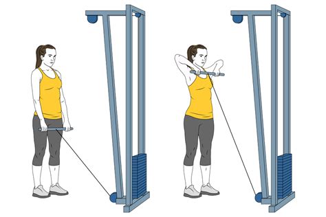 Tonificación máquinas Entrenamientos rutinas y ejercicios