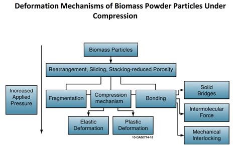 Biomass Industrial Innovative Projects: Biomass Pelletisation Process ...