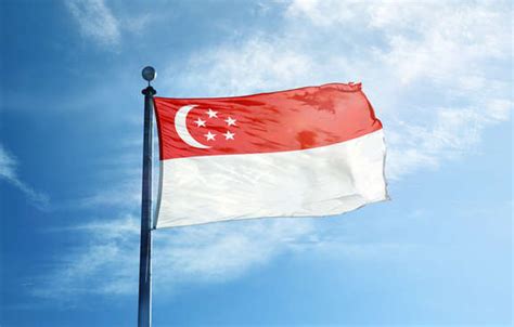 Economic and political overview in Singapore