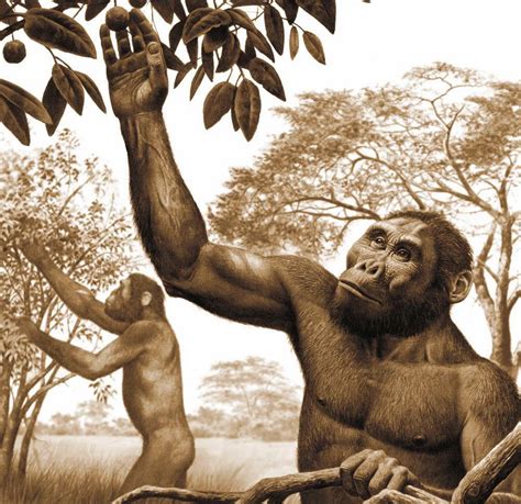 El Origen De La Vida Y Su Evoluci N X Evoluci N De Los Primates Iv