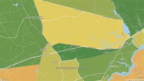 Race, Diversity, and Ethnicity in Ravenel, SC | BestNeighborhood.org