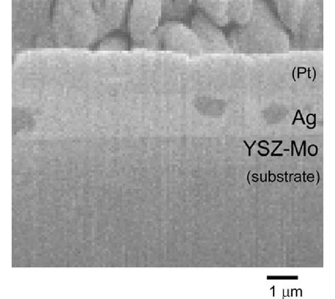 Cross Sectional Scanning Electron Micrograph Of The Monolithic